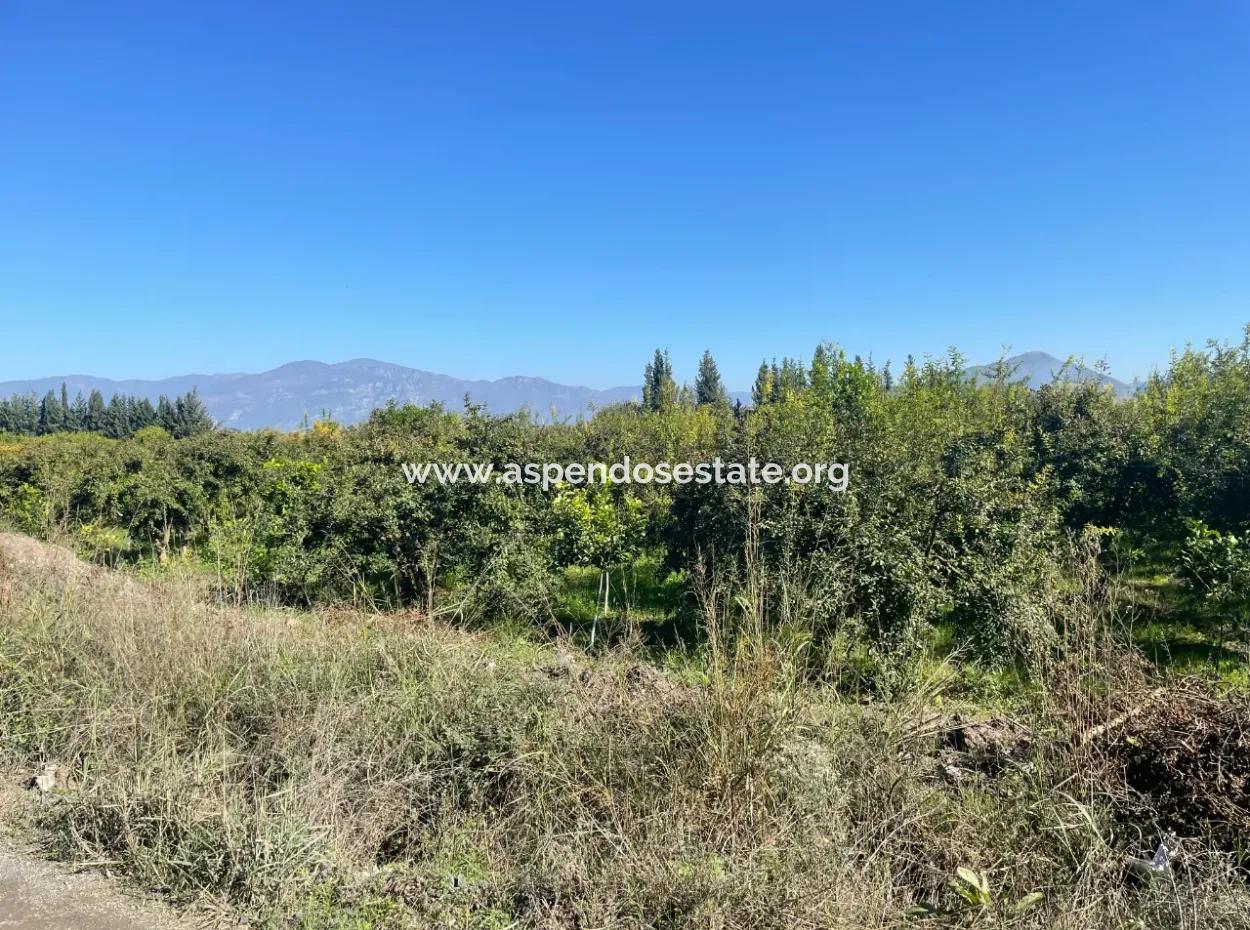 Dalyan'da Satılık 2223M2 Tarla