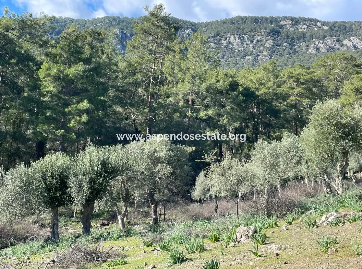 Çandır Da Göl Manzaralı 4000M2 Satılık Tarla