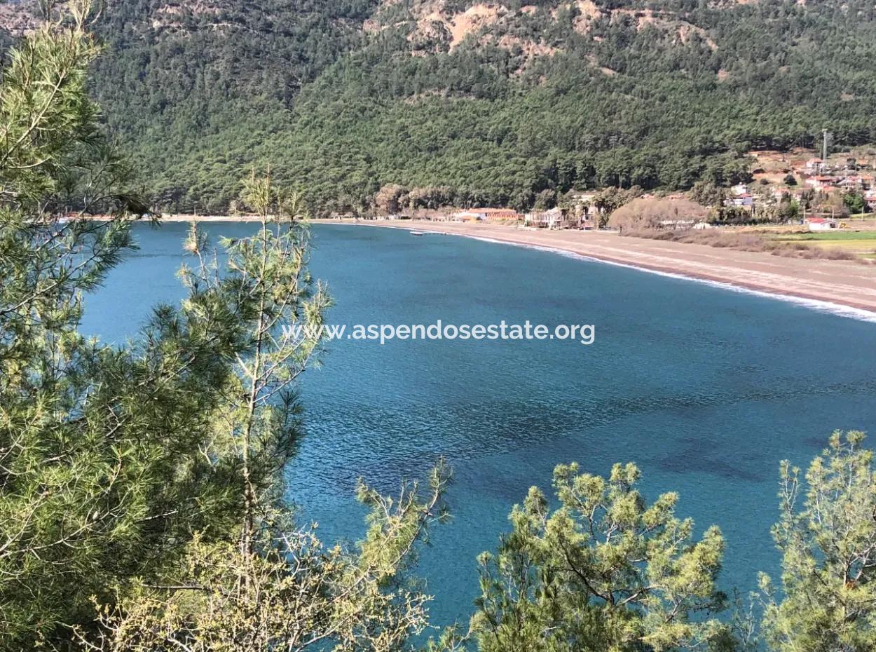 Ekincik'de Denize Yakın Manzaralı 3250M2 Satılık Arazi