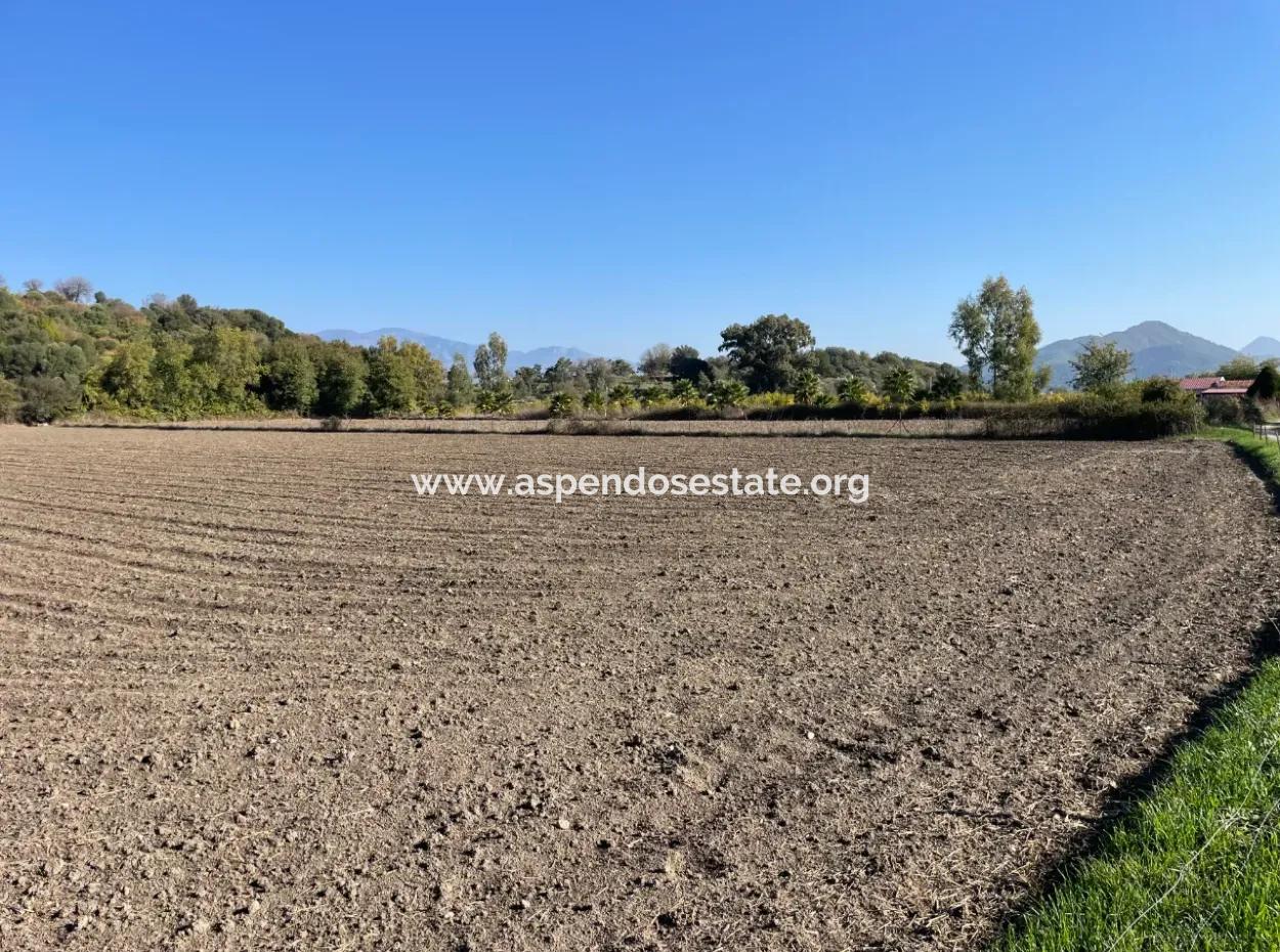 Eskiköyde Dalyan Yakın 6254M2 Satılık Tarla