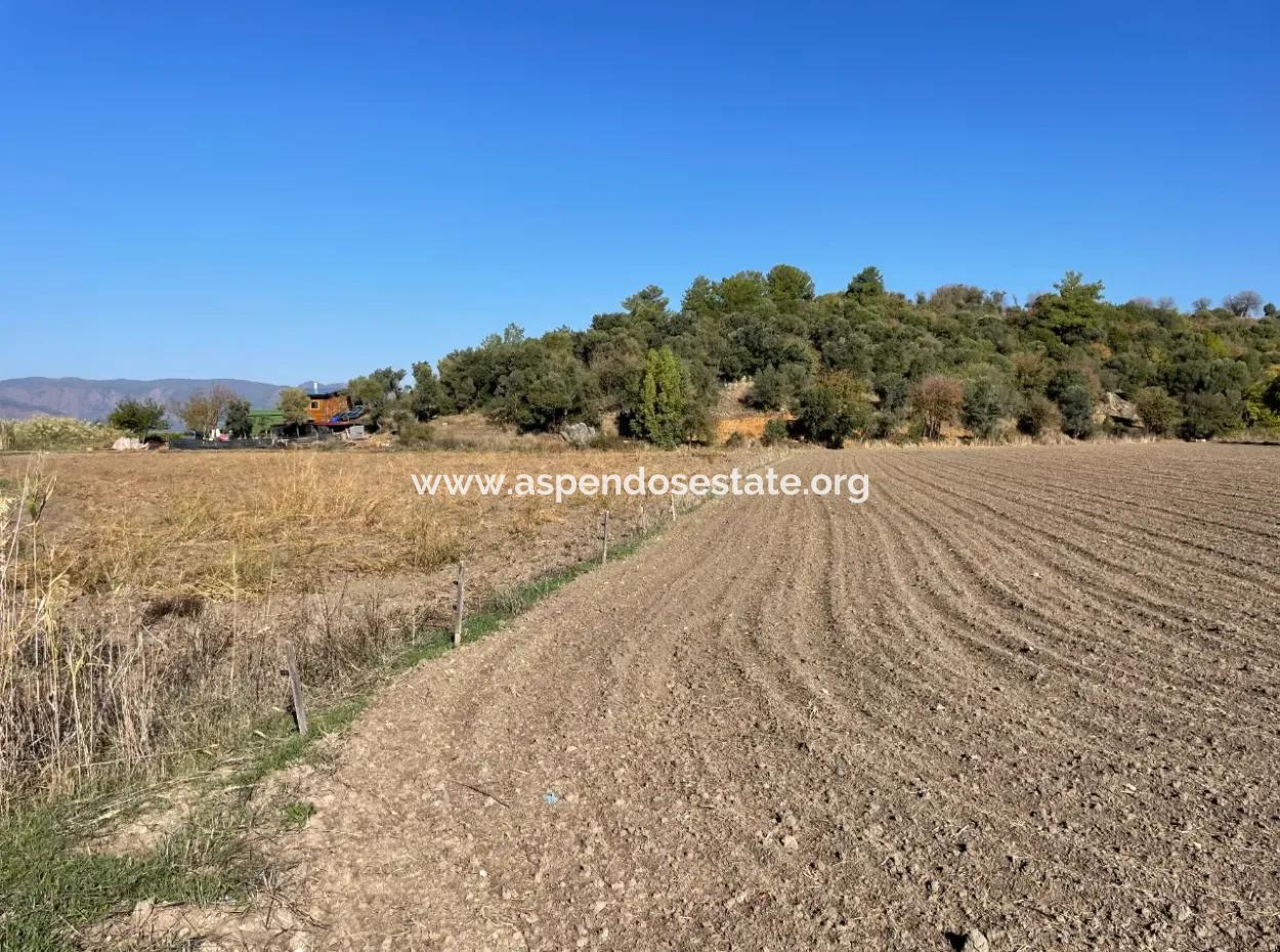 Eskiköyde Dalyan Yakın 6254M2 Satılık Tarla