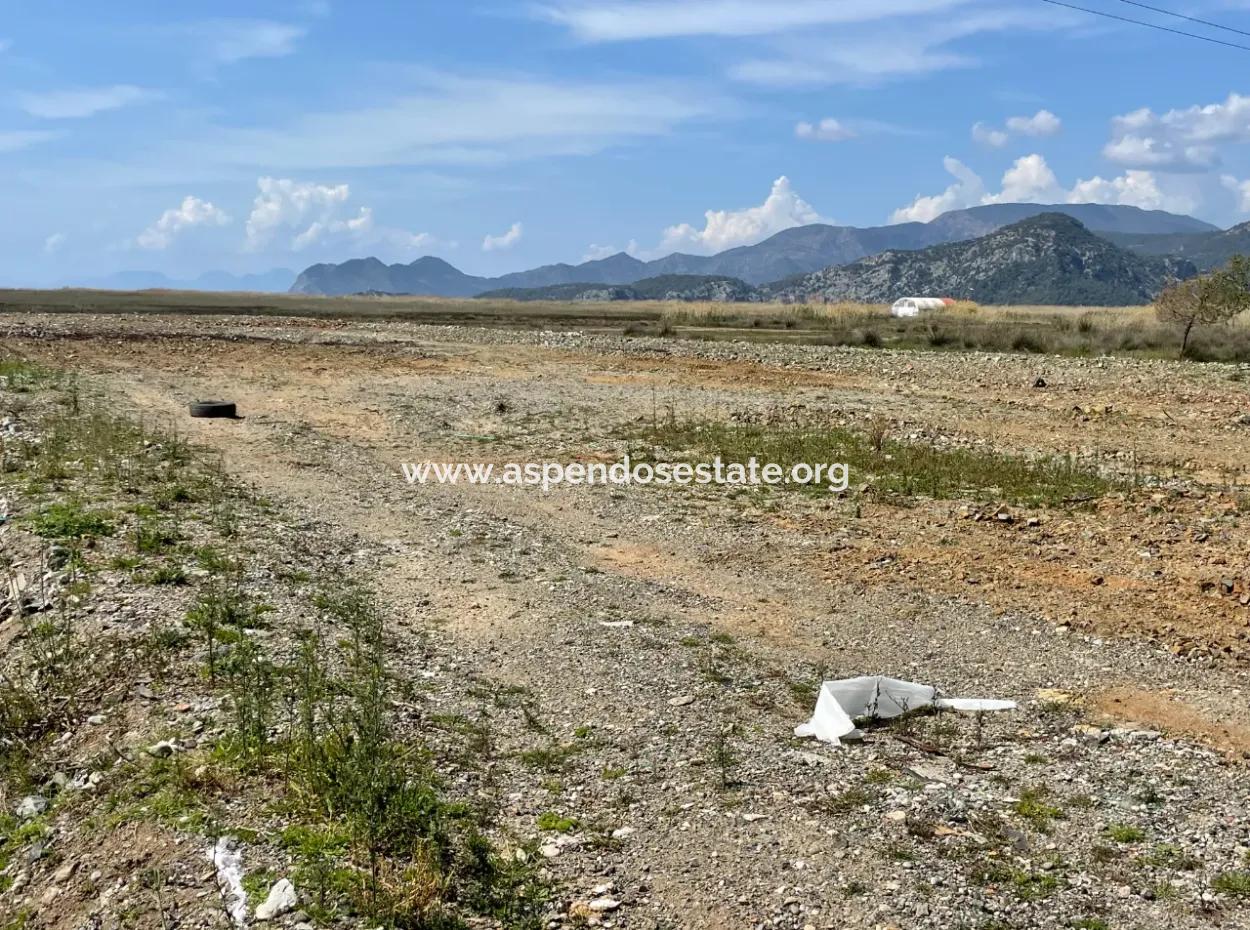 Dalyan İztuzu Plaj Yoluna Sıfır 19,600M2 Satılık Tarla Arazi