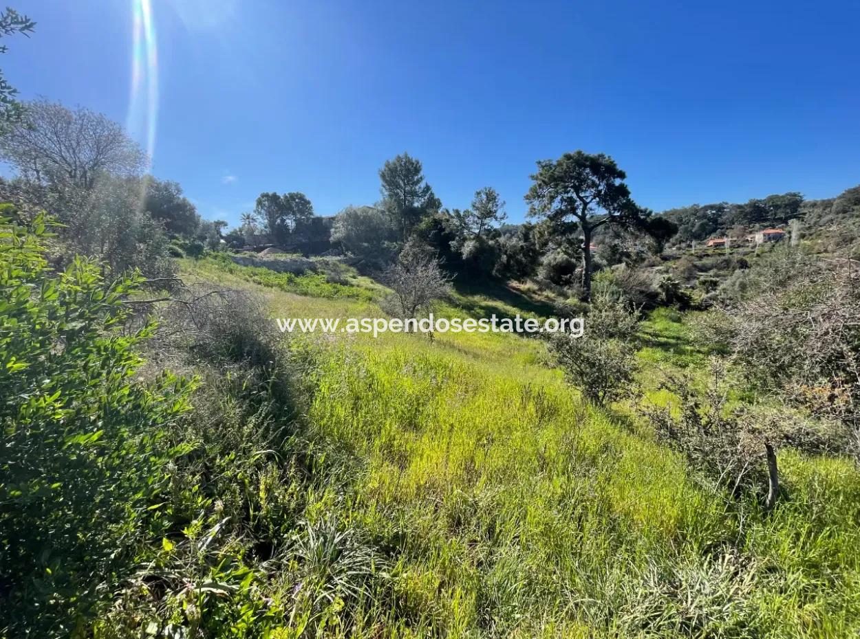 Gökbel'de Full Deniz Manzaralı 4,400M2 Arsa İçinde Satılık Köy Evi