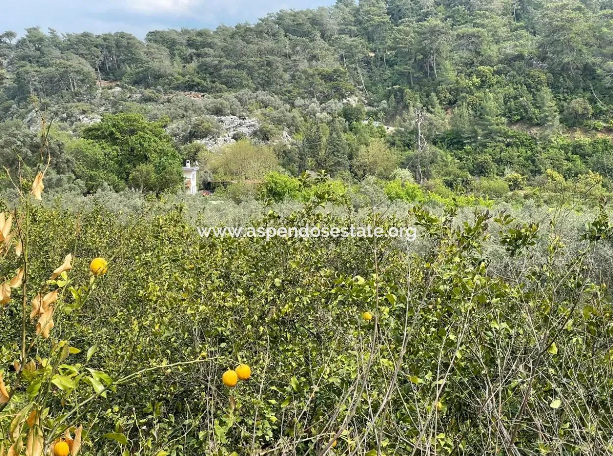 Çandır'da Yola Sıfır 5000M2 Satılık Tarla