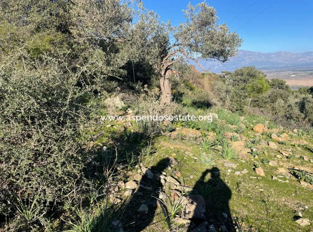 Çandır'da Deniz Manzaralı Satılık 2B Arazisi