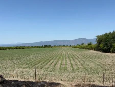 Tepearası'nda 46,550M2 Satılık Tarla