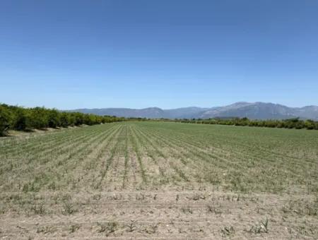 Tepearası'nda 46,550M2 Satılık Tarla