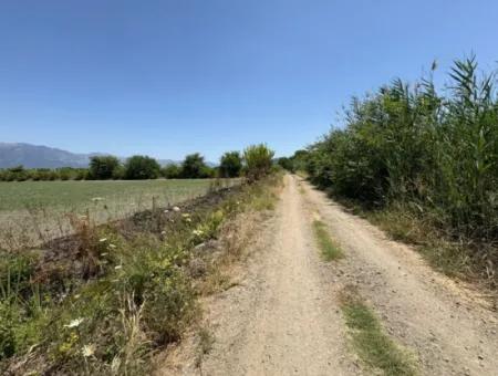Tepearası'nda 46,550M2 Satılık Tarla