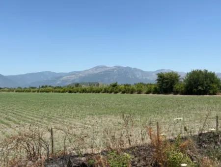 Tepearası'nda 46,550M2 Satılık Tarla