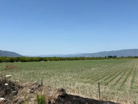 Tepearası'nda 46,550M2 Satılık Tarla