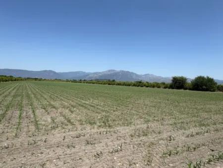 Tepearası'nda 46,550M2 Satılık Tarla