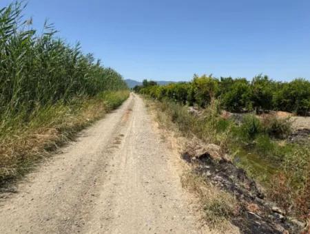 Tepearası'nda 46,550M2 Satılık Tarla