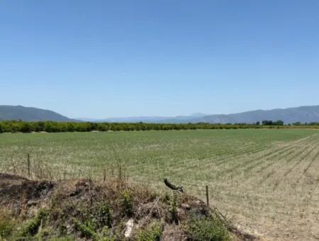 Tepearası'nda 46,550M2 Satılık Tarla