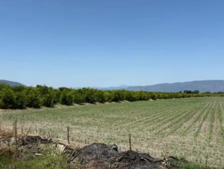 Tepearası'nda 46,550M2 Satılık Tarla