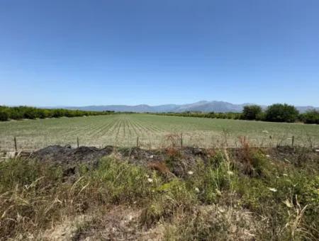 Tepearası'nda 46,550M2 Satılık Tarla