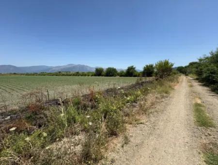 Tepearası'nda 46,550M2 Satılık Tarla