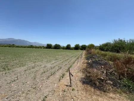 Tepearası'nda 46,550M2 Satılık Tarla