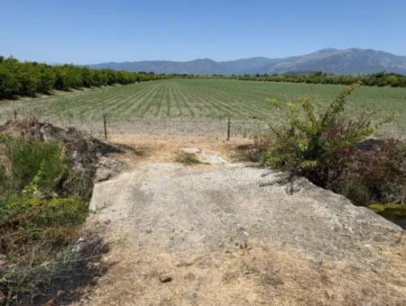 Tepearası'nda 46,550M2 Satılık Tarla