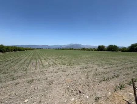 Tepearası'nda 46,550M2 Satılık Tarla