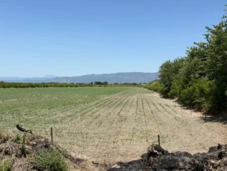 Tepearası'nda 46,550M2 Satılık Tarla