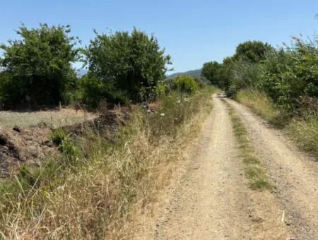 Tepearası'nda 46,550M2 Satılık Tarla