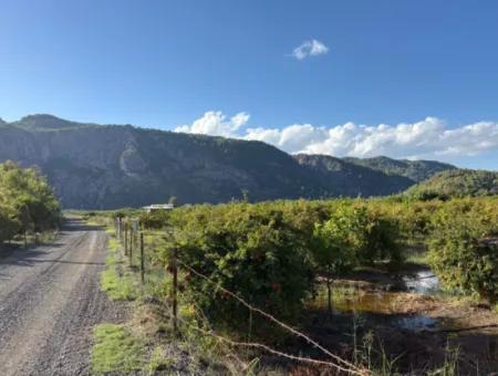 Ortaca Yeşilyurtda 3900M2 Satılık Arsa