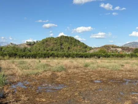 Ortaca Yeşilyurtda 3900M2 Satılık Arsa