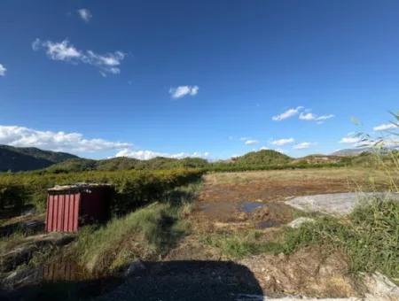 Ortaca Yeşilyurtda 3900M2 Satılık Arsa