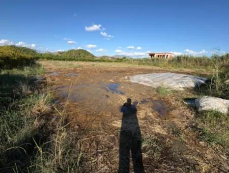 Ortaca Yeşilyurtda 3900M2 Satılık Arsa