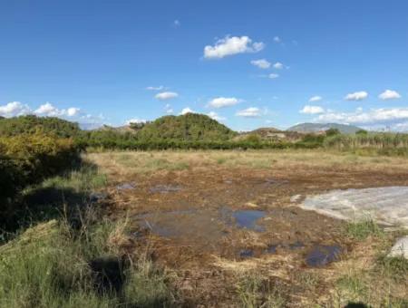 Ortaca Yeşilyurtda 3900M2 Satılık Arsa