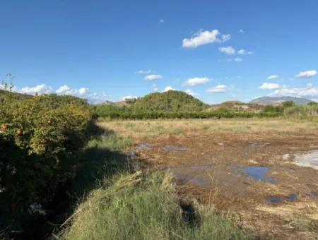 Ortaca Yeşilyurtda 3900M2 Satılık Arsa