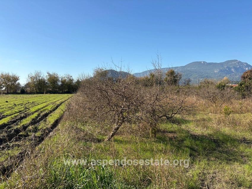 Ortaca Dalyan Mah. Satılık Tarla - Tarla İmar Durumlu - 4.541 m²